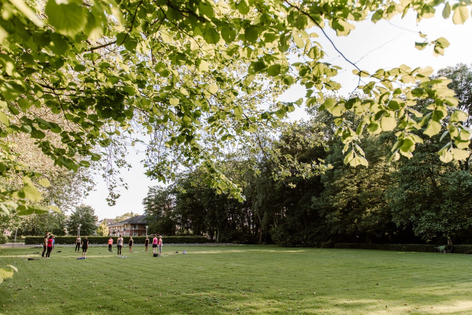 Kloostertuin - Veghel - yoga