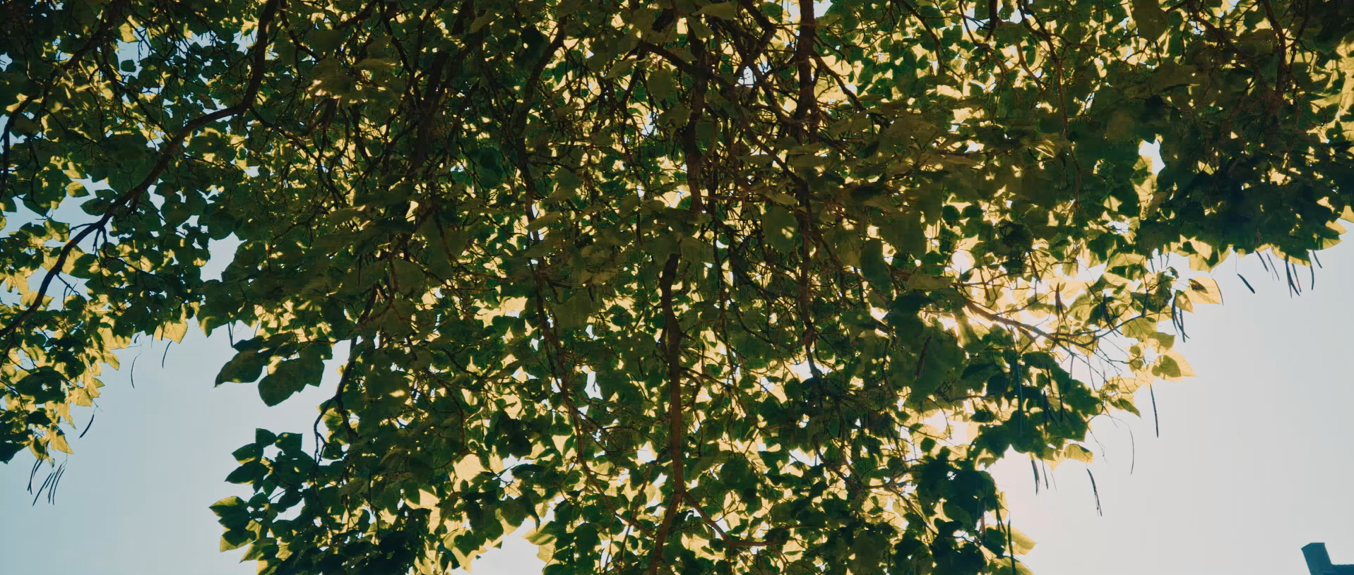 Kloosterkwartier Veghel Relatiedag